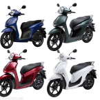 Oto & Xe Máy & Xe Đạp