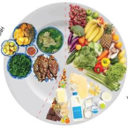Đồ ăn, Thực phẩm các loại